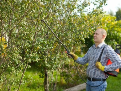 ����������� �������� ��� ��������: ��� ����� ����� ������ ���� ��������