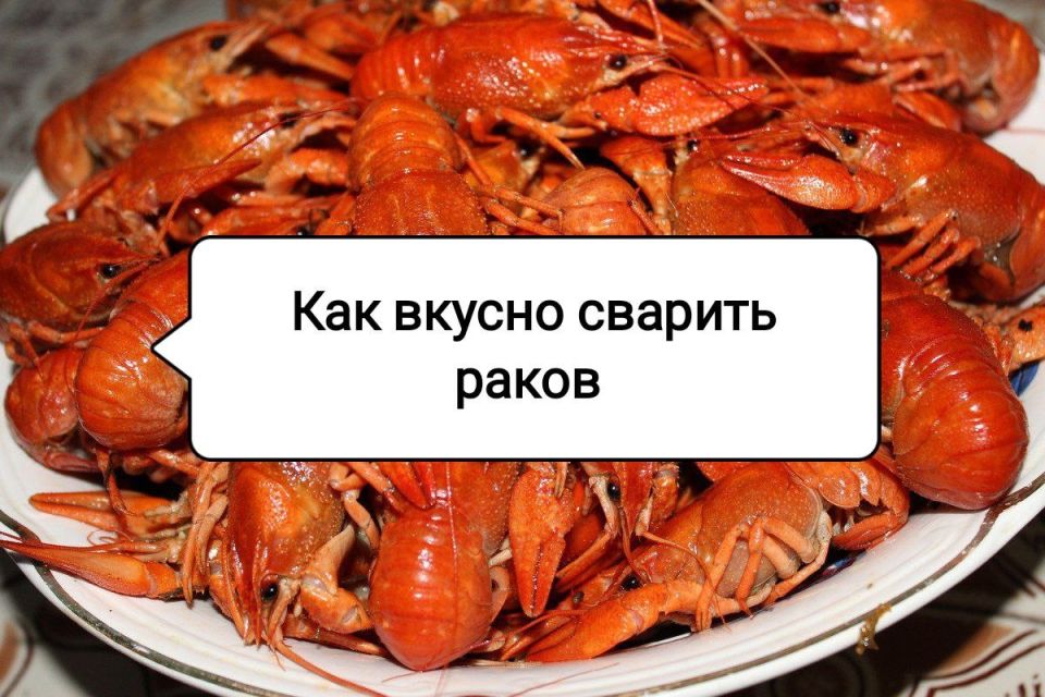 ��������� ����� �����: �������� � �������