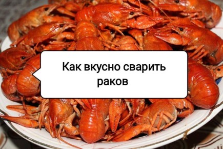 ��������� ����� �����: �������� � �������