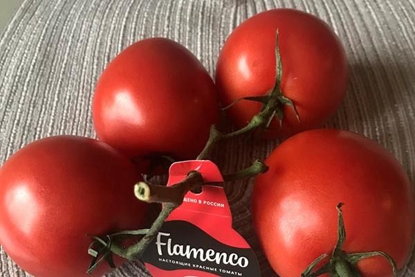 ������ ����� ��������: ��� ��������� ��������� ����� � �������� ��������