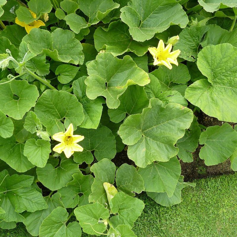 ������� ����� ������� � ��������� �������