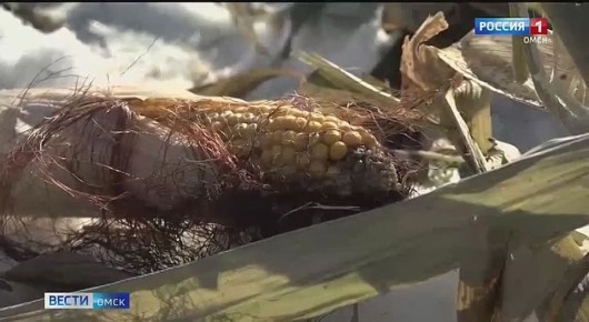 � ������ ������� ������, ������� ������� ��� ������ ������, ���-���� ������ ���� ������