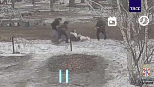 В Омске пьяный мужчина избил женщину и натравил на нее и ее питомцев своего стаффордширского терьера, сообщили в региональном УМВД