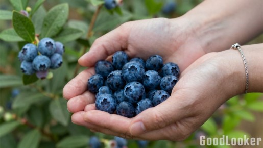 10 ���������, �������������� �������� ���������� � ��������� ��������