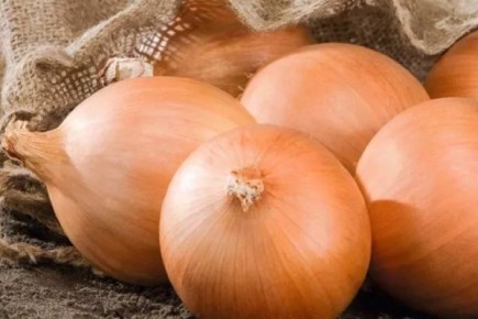 ���������� ��� ����� ���