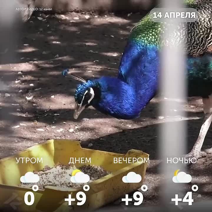 ������ ����, �����!. ������ ������� � ������, ������� � ������ � ���� �� ������ ������ ���������� ������� ����