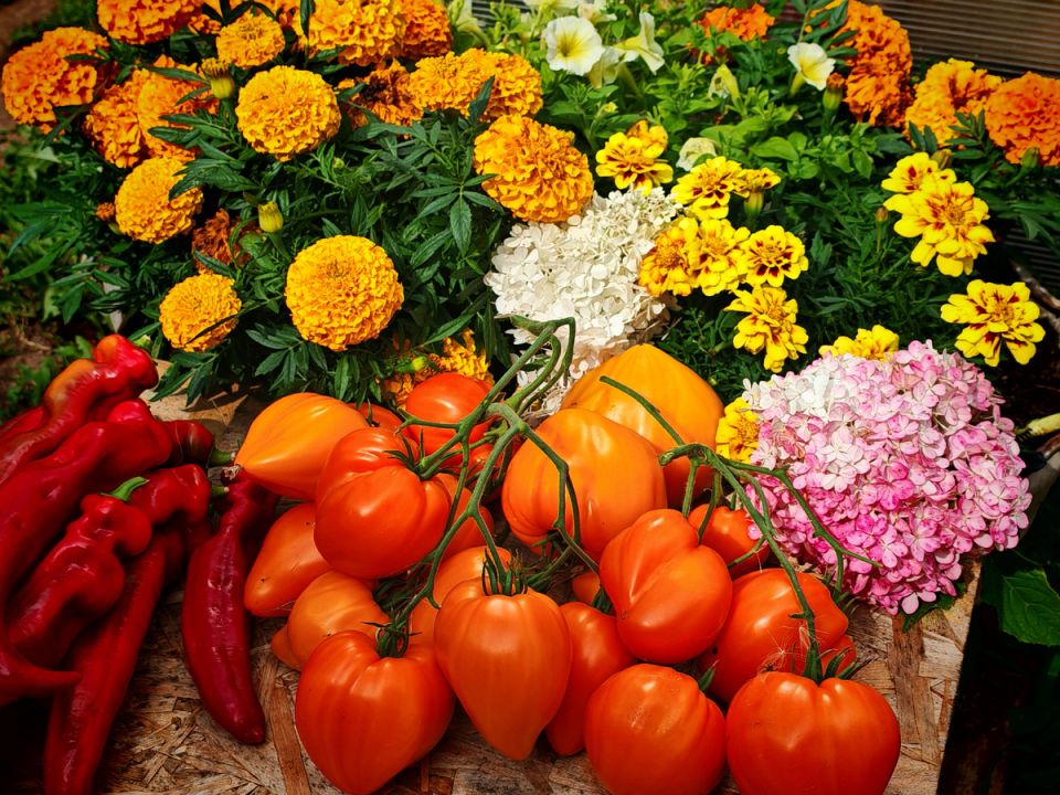 ��� ������� ������� ����� ������� ��� ������ �������