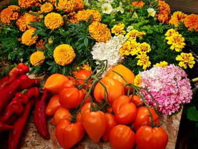 ��� ������� ������� ����� ������� ��� ������ �������