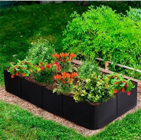 ������ ������: ��� ����� ����� ������ ������ ����������