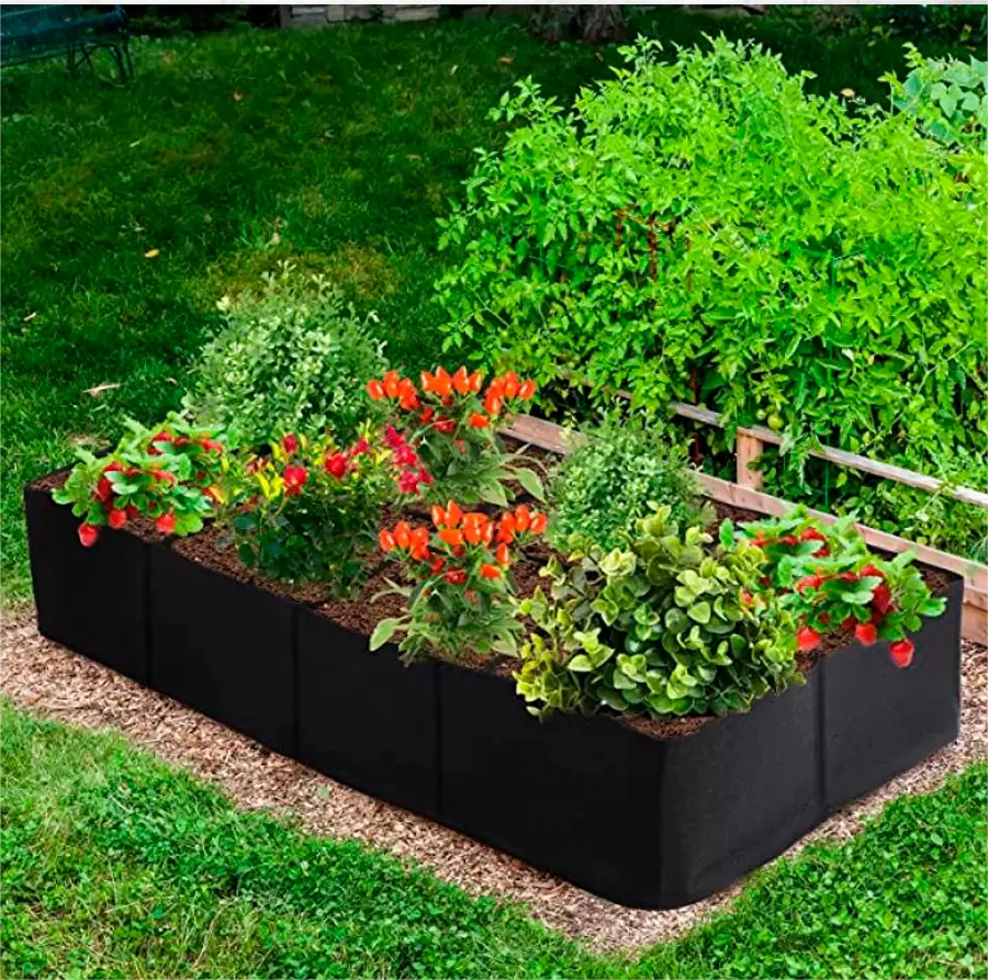 Мягкие грядки: как новый тренд меняет дачное земледелие