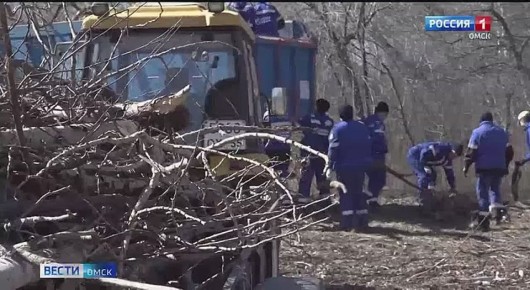 В Омске парк «Птичья гавань» преобразился после субботника
