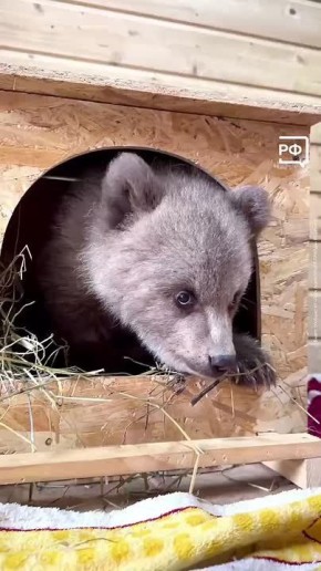 � �������� ������ ������ ������ ������ � ���������� ����������