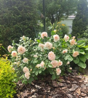 ���������� ���: ��� ��� ����������?