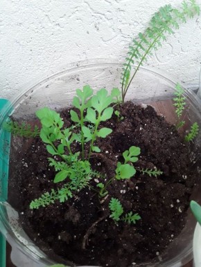 ������������ ������ �����: ��� ������� ���� � ����������