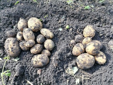 ��������� ���������: ����� ������ ����� � ���� �������?