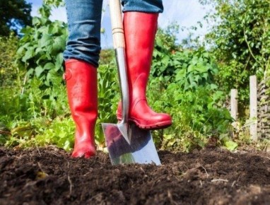 ��� ���������� ��������� ������ �������: ������ ��� ��������� ��������