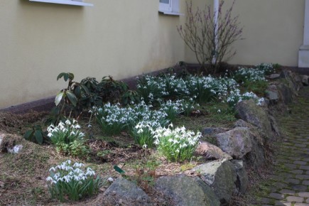 ����� � �������� ���������: ���������� ������ ����