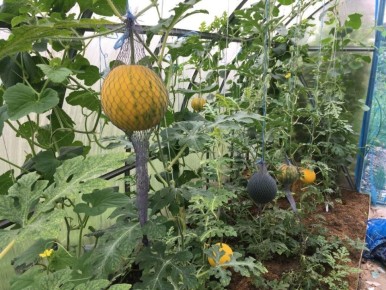 ��������� � �������: ��� ������������ �������� �������� ��������� ������