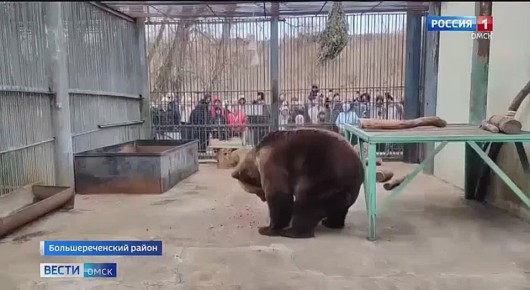 � ��������������� �������� ��������� �������� � ����� ����������� ��������