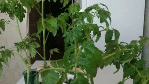 ���������� �������: ��� ��������� � �������� ������ ������