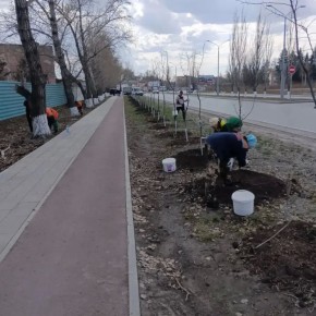 ������ ���������� ��������� ��������� � ��������������� ���������� �������� ������� �� ������ ����� ����� ����