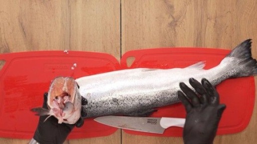 ��� ������� ��������� ���� � �� ������� �� ������ ����������