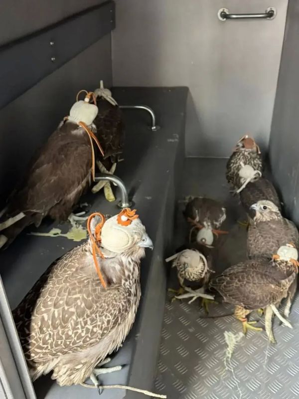 � ������ ������� ����������� ��������� � ��� ��������� ���� �� ����� ����������� ������� ������ ����