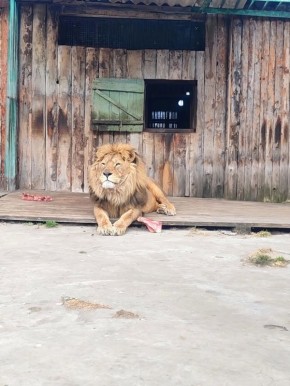 � �� �����, ��� ���� ����� ����� �� 20 ����� � �����?