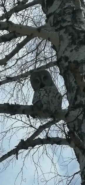 �� ����� �������������� ��������� ������������� ������ ���� ���������������� ��������� �������