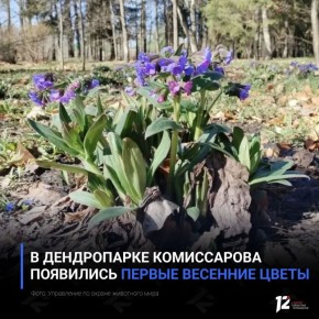 � ����������� ����������� ��������� ������ �������� �����