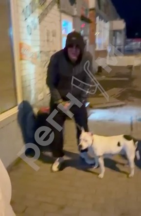 ������ ��������: ������, �� ��������, �� ������, �������� ��������� ��� �� ����� ������� ������ � ����������� �� ��� ������ ��������������� ������, ���������� ������ �� ������ � ������ �����