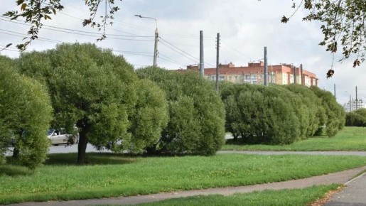 ����� ��� ������� �������� ������� ������� � ������ �������