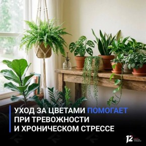 ���� �� ������� �������� ��� ����������� � ����������� �������