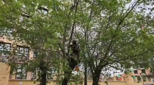 ������� ���������� ����� ���� ����, ����������� �� ������
