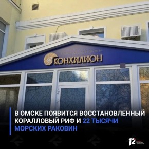 � ����� �������� ��������������� ���������� ��� � 22 ������ ������� �������