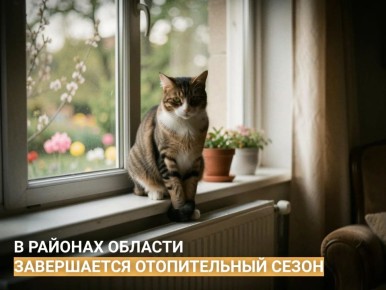 ����� ��� ������ ������ ������� ��������� ������������ �����