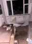 � 8 ����� ������� ���������� ������ ������ ������� �� ���������� ������ ���������