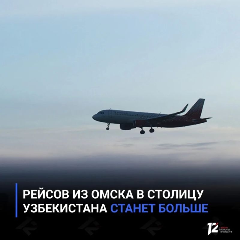 Авиарейсов из Омска в столицу Узбекистана станет больше