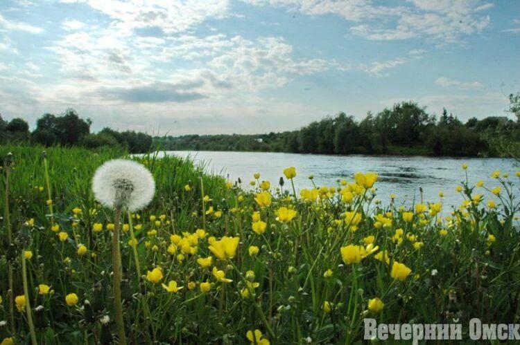 Попробовать козье молоко и полепить из воздушного пластилина: куда сходить в Омске в ближайшие выходные
