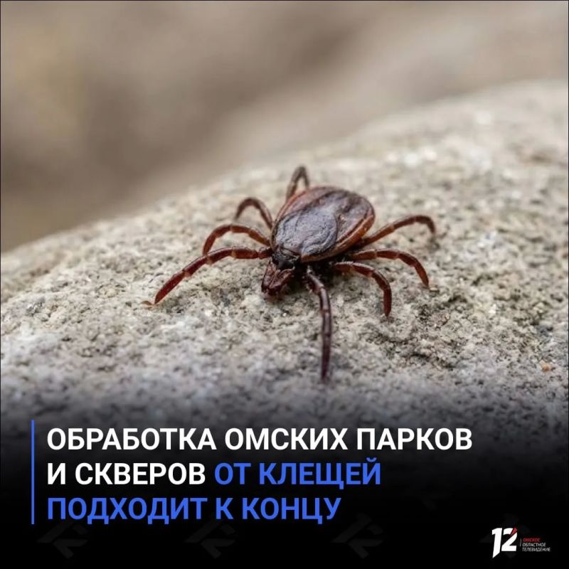 Обработка омских парков и скверов от клещей подходит к концу