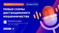 Сумма ущерба от дистанционных мошенников в Омской области в этом году уже превысила полмиллиарда рублей