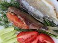 Как получить 1 кг воблы без затрат: хитрости и секреты