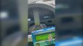 �� ���������� ������ ������� ������ ���������������� ����������� ����������