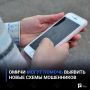 Омичи могут помочь выявить новые схемы мошенников