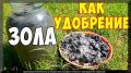 ������������ ���� � ��������� ���e: ��� ��������� ������������� ��������
