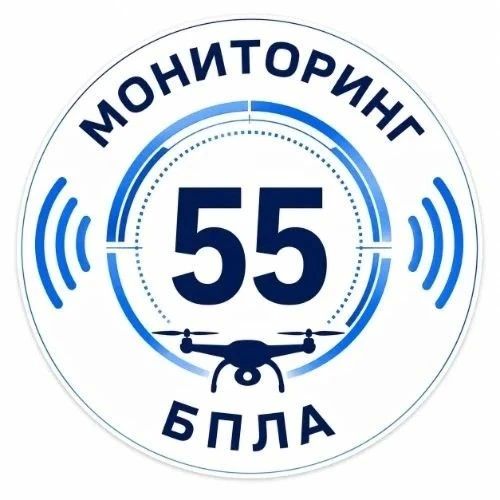 «Мониторинг БПЛА Омской области» - такой чат-бот запустили с «МАКСе»