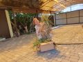 Как преобразить грядку после чеснока: секреты успешного урожая в июле