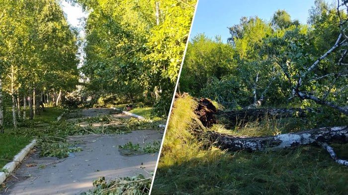 Ураган переломал деревья в омском парке