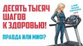 �� ����� �� ��������: ������������� ����� ����� ����� ����� ����� �� ������ ��������� �����������