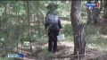 В Омской области постепенно начинается сезон «тихой охоты»